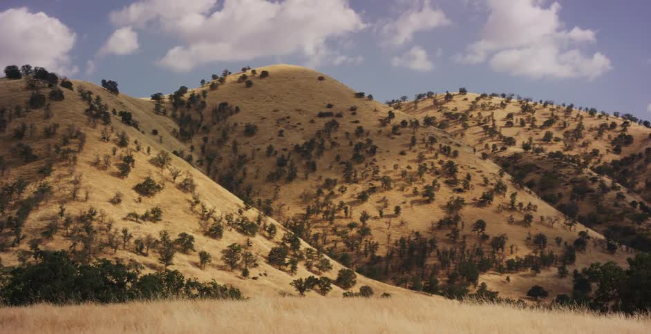 A slow pan reveals a scenic landscape of golden grassy hills dotted with oak trees under a beautiful partly cloudy sky