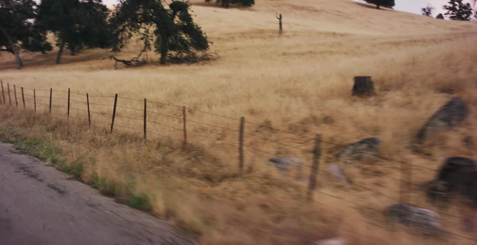 A vintage black Ford Mustang cruises down a winding country road through the golden, sun-kissed hills of California