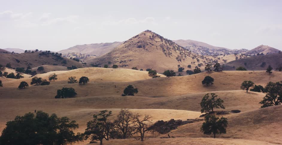 Sweeping views of golden rolling hills reveal a classic silver Mustang cruising down a winding country road