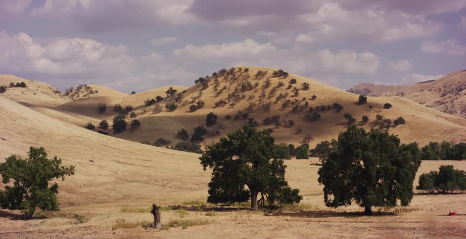 A scenic, slow-moving view of dry, golden hills and scattered oak trees in the California countryside on a sunny day
