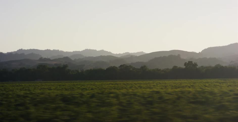 A scenic drive past lush green fields and hazy rolling hills at golden hour