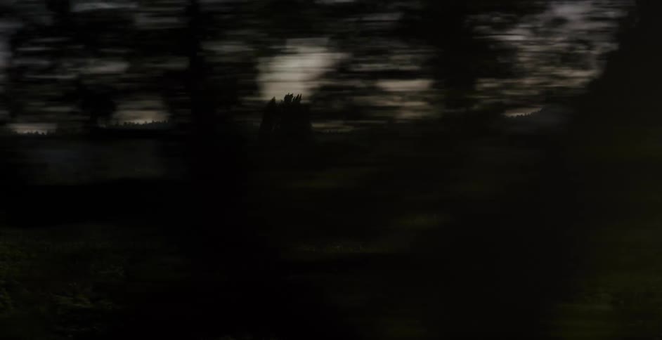 Scenic moving shot past a lush vineyard with hazy mountains in the background at golden hour