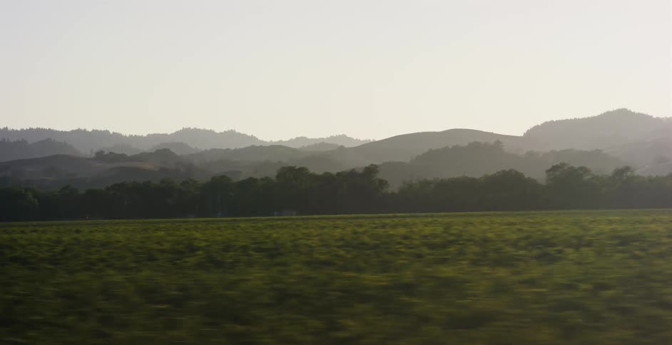 A serene, hazy landscape of rolling hills and a vast green field drifts by from the perspective of a moving vehicle