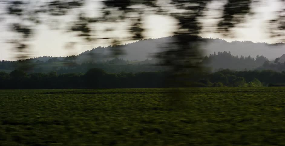 A fast-paced view from a moving window of a misty countryside with rolling green hills and forests