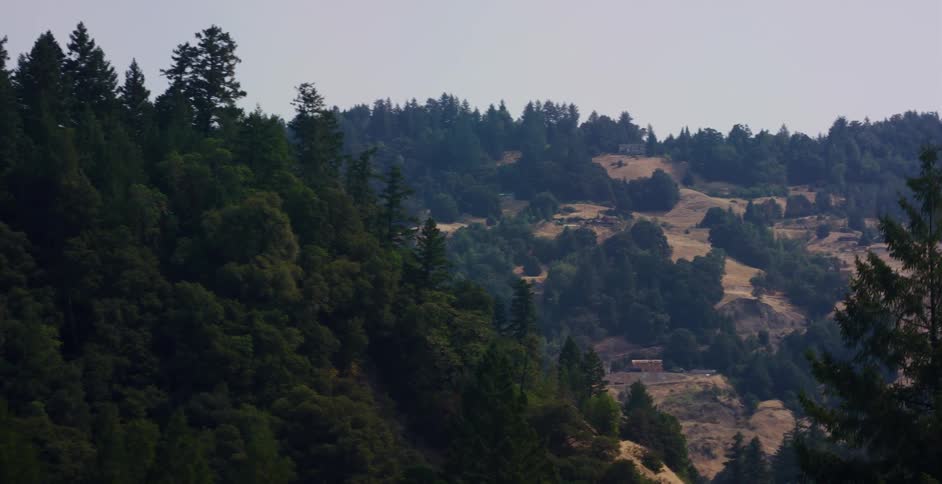 A slow pan reveals a vast landscape of rolling hills, with a dense green forest contrasting against drier, grassy slopes