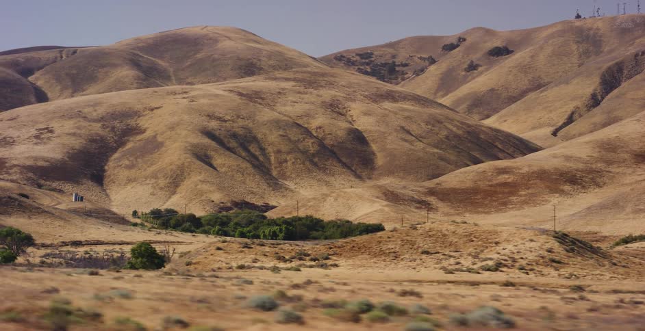 A tracking shot reveals a vast landscape of golden, rolling hills with a small patch of green trees nestled in a dry valley