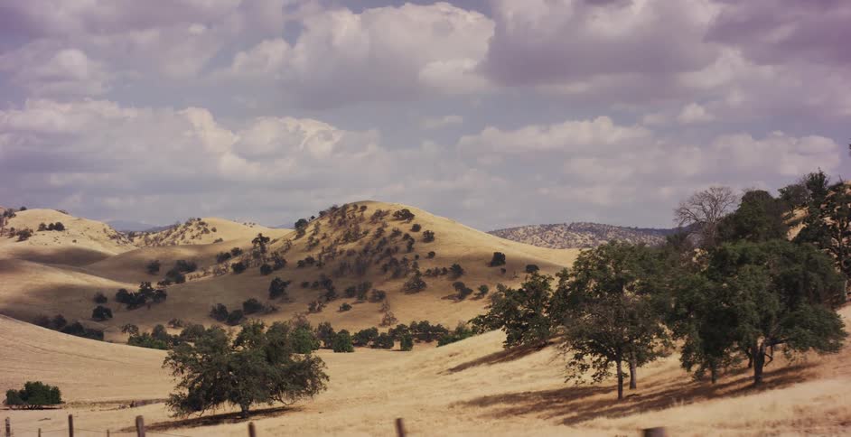 A classic muscle car cruises along a scenic, winding road through the dry golden hills of the countryside