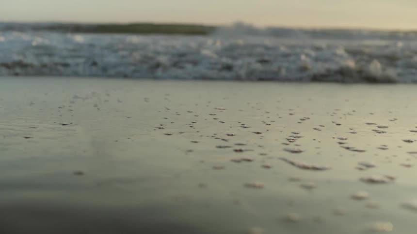 Ocean waves wash ashore a sandy beach
