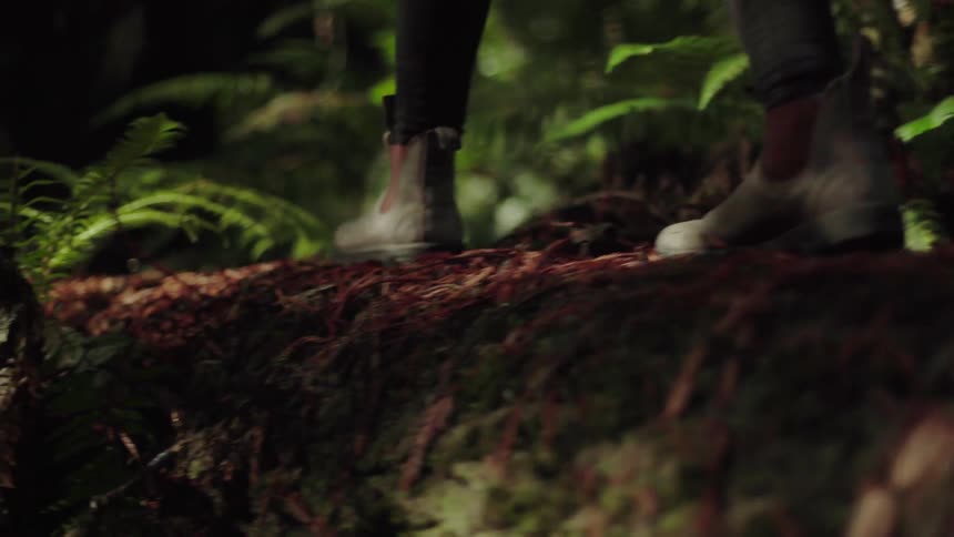 A person is hiking in the forest