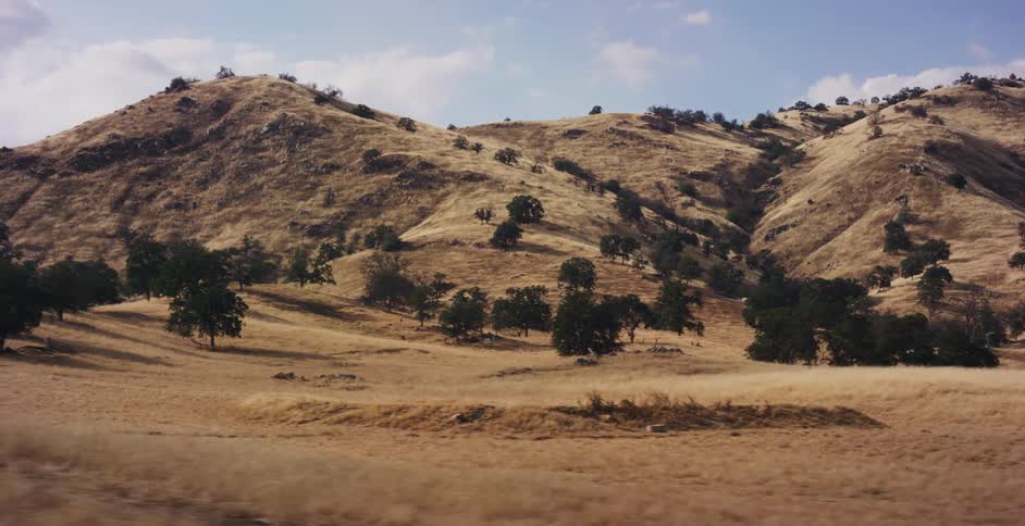 A scenic journey passing by a serene landscape of golden rolling hills and scattered oak trees on a sunny day
