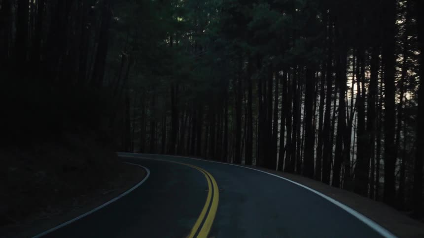 The winding road is surrounded by thick sets of trees