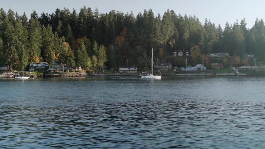 Sailboats out in the water