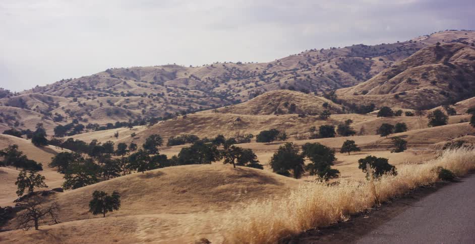 An aerial view follows a classic blue car driving along a winding country road, revealing a vast landscape of golden rolling hills