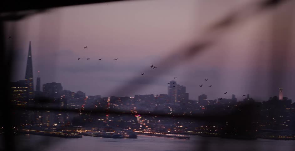 Birds fly in slow motion across the San Francisco skyline as the sun sets over the city and bay, shot from a moving vehicle on a bridge