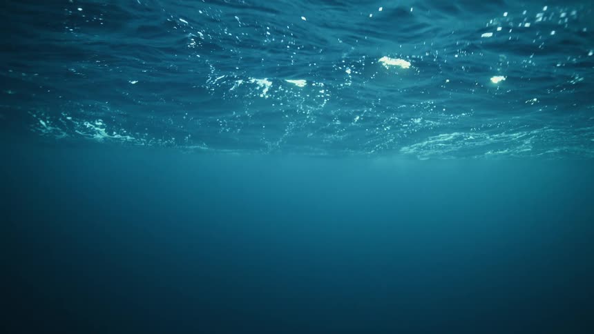 Sunlight shimmers on the surface of the deep blue ocean as seen from underwater