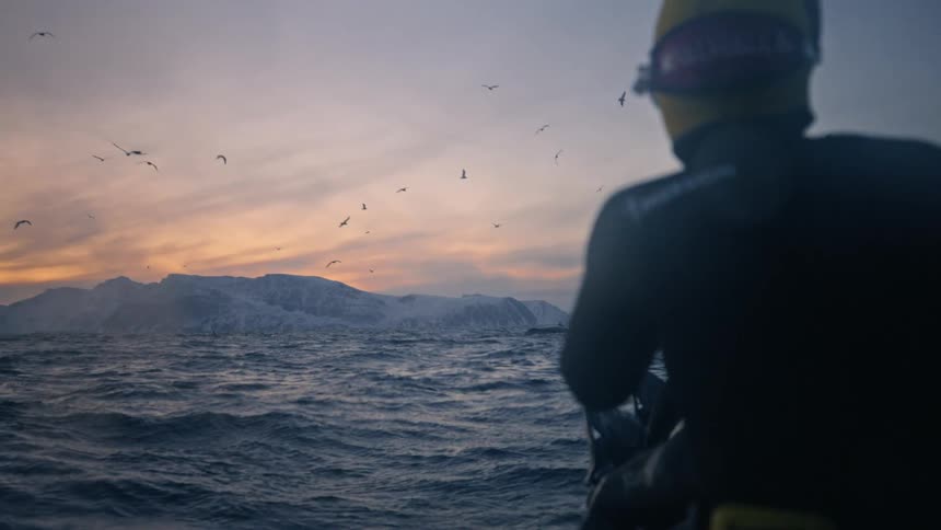 A diver sits on a boat in the choppy arctic ocean watching whales breach against a stunning sunset and snow-covered mountains
