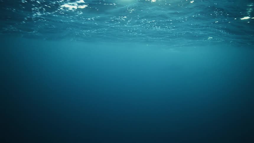 Sunlight filters through the gentle waves of the deep blue sea in a tranquil underwater scene