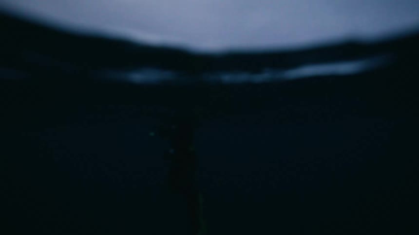 Split-shot slow-motion view of a snorkeler in frigid Arctic waters with snow-covered mountains in the background