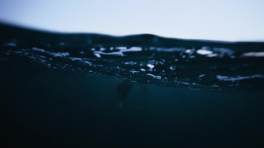 A mysterious slow-motion underwater view shows two divers floating on the dark, deep surface of the ocean