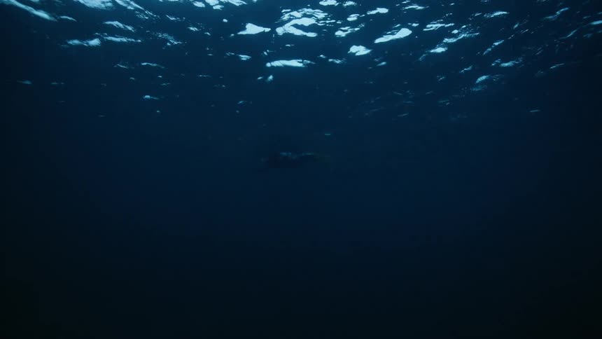 A tranquil underwater view looks up at a scuba diver floating peacefully on the surface of the vast, dark blue ocean