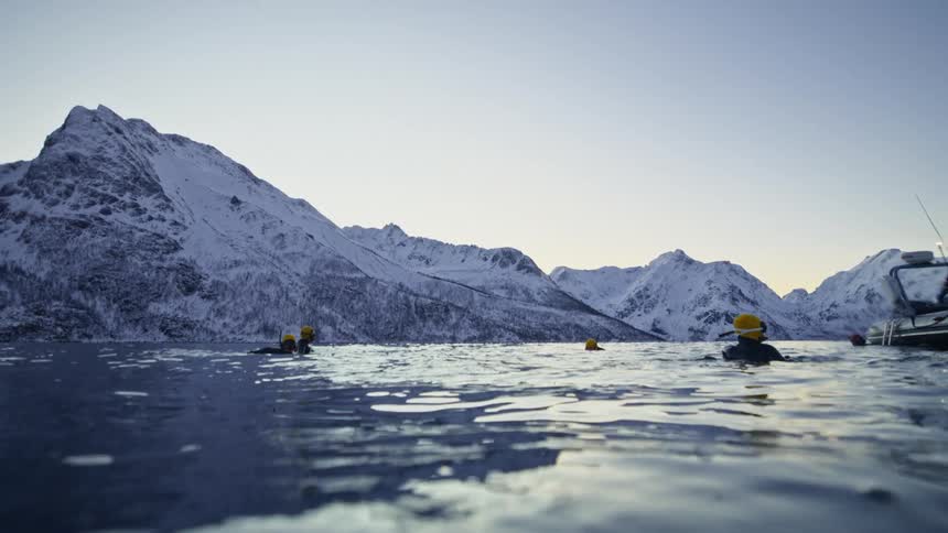 A half-underwater perspective reveals swimmers in a frigid fjord with majestic snow-covered mountains in the background