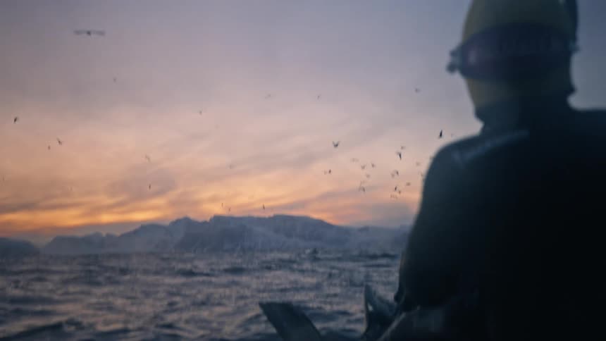 A snorkeler on a boat watches a pod of orcas feeding in the arctic ocean at sunset with snow-covered mountains in the background