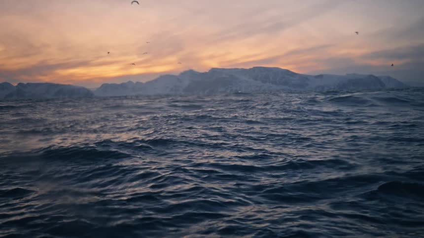 A dramatic slow-motion view of the turbulent arctic ocean at sunset, with snowy mountains on the horizon and birds flying overhead