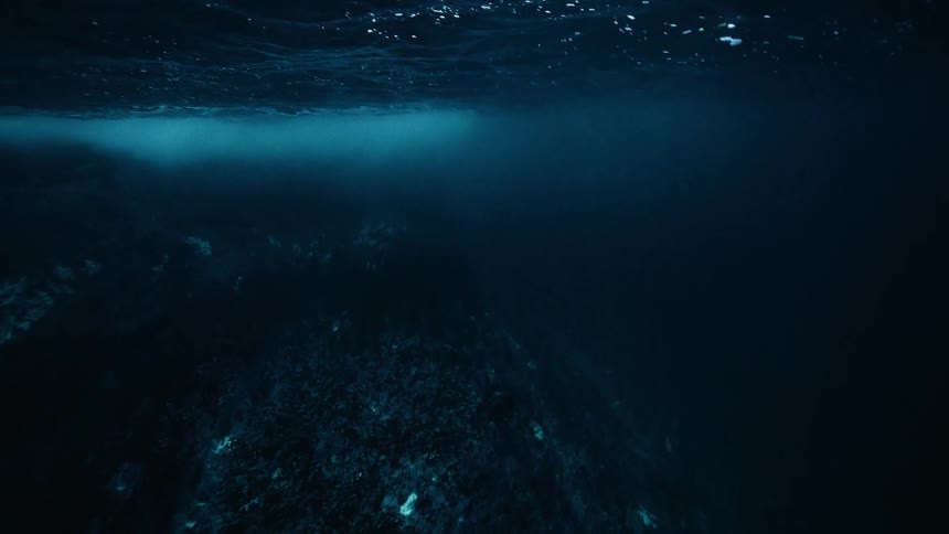 An eerie underwater perspective from the dark depths of the ocean looking up towards the surface