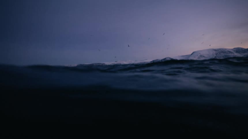 An immersive slow-motion view from the surface of the dark ocean reveals a dramatic twilight sky and snowy mountains as seabirds fly overhead