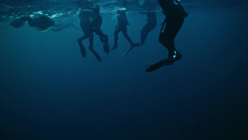 An underwater view shows the silhouettes of a group of freedivers floating on the ocean surface in slow motion