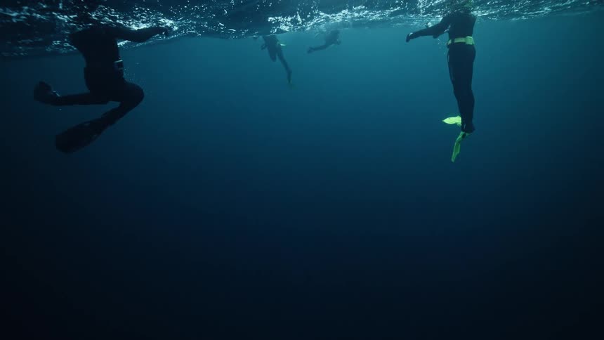 Underwater low-angle shot of a group of scuba divers in wetsuits and fins floating on the surface of the deep blue ocean