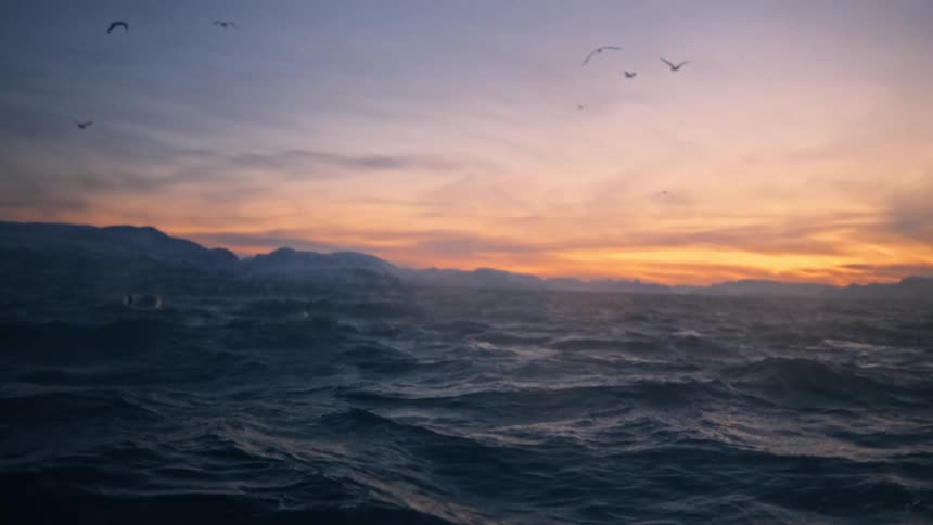 A pod of whales surfaces in a rough, misty arctic sea during a vibrant sunrise, with seagulls flying over the choppy waves