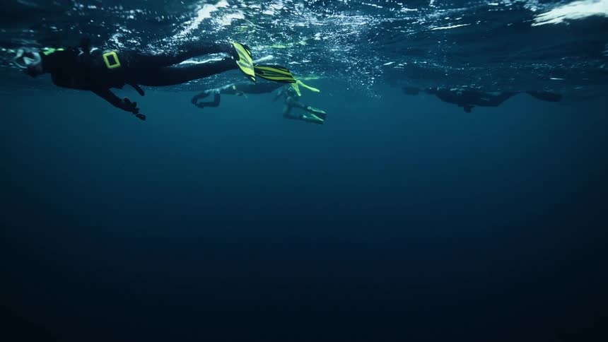 A group of scuba divers in wetsuits swim along the surface of the deep blue ocean as seen from below