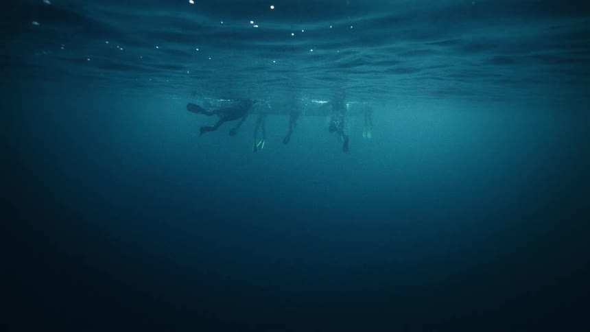 Silhouettes of scuba divers float on the surface of the deep blue ocean, as seen from underwater