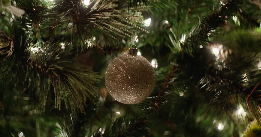 Someone hangs an ornament on a tree