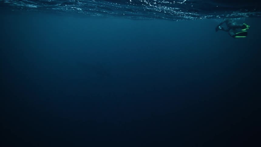 A lone snorkeler drifts on the surface of the deep blue ocean as a massive whale slowly emerges from the dark abyss below