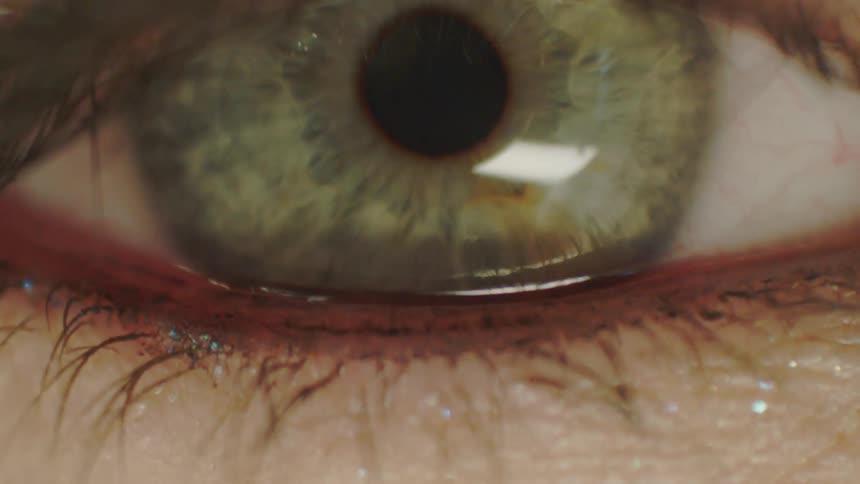 A detailed close-up macro shot reveals the intricate details of a green human eye coming into focus
