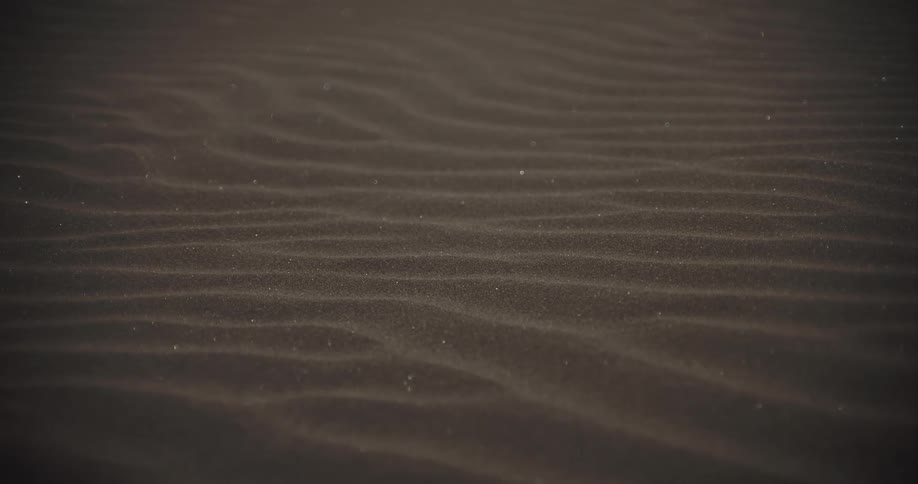A close-up, static shot shows wind gently blowing over dark, rippled sand