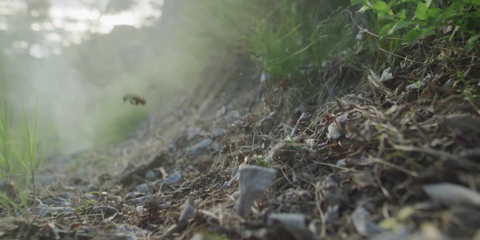 An explosion of dirt, leaves, and debris flies through the air in dramatic slow motion