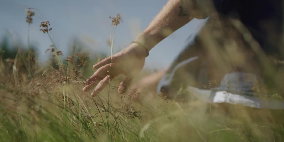 A dreamy double exposure captures a man's tattooed hand as he walks through a sunlit field, brushing his fingers across the tall grass in slow motion