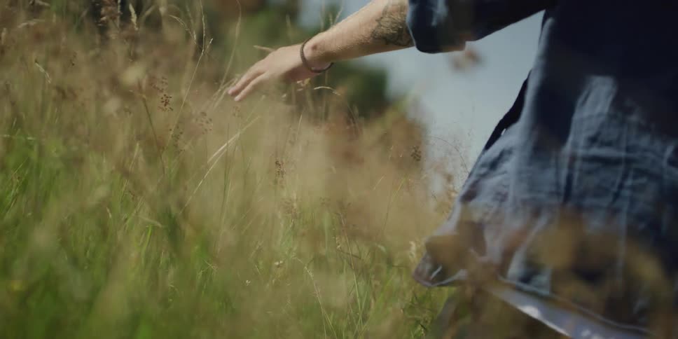 A person's hand gently brushes through the tall grass of a sunlit field in cinematic slow motion