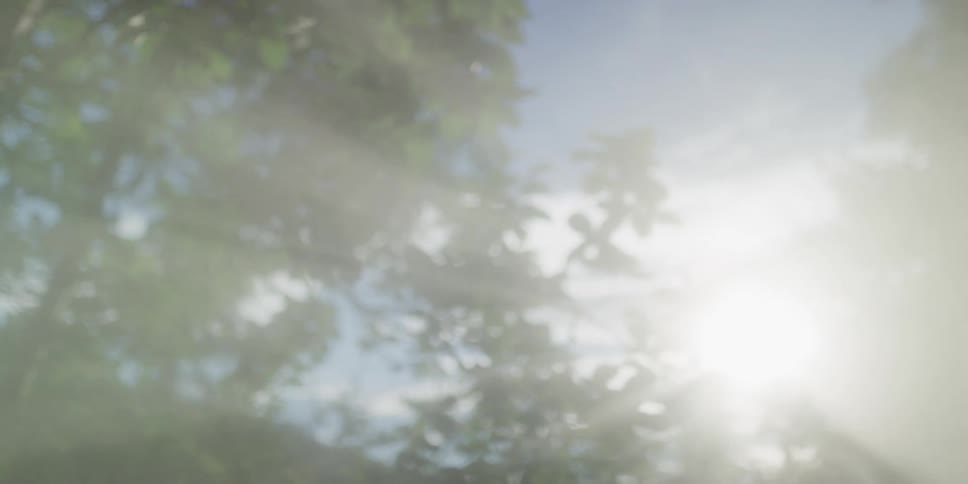 Mystical fog slowly clears, revealing a bright sun shining through lush green forest trees against a blue sky