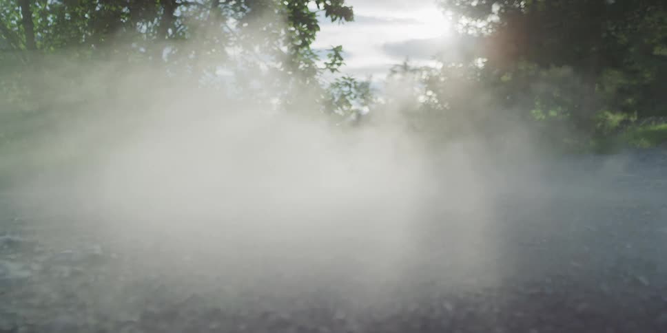 Mysterious fog or dust slowly clears from a low-angle view of a wooded path as sunlight streams through the trees