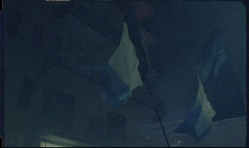 Authentic 8mm footage captures the energy of a massive crowd of fans waving flags and celebrating at a nighttime rally