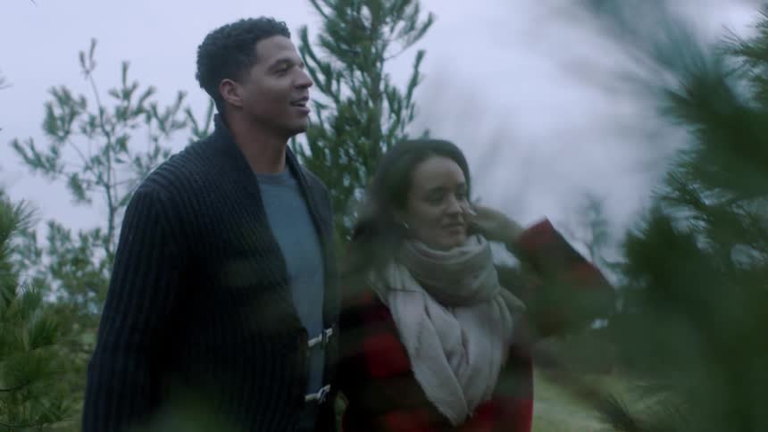 A couple are walking through a christmas tree farm during the day