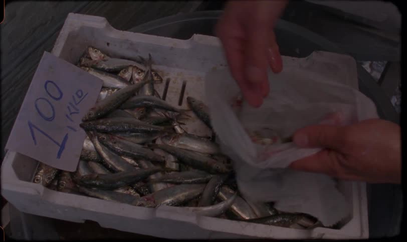 Vintage-style footage of a fishmonger grabbing fresh sardines from a crate and putting them into a bag at a market