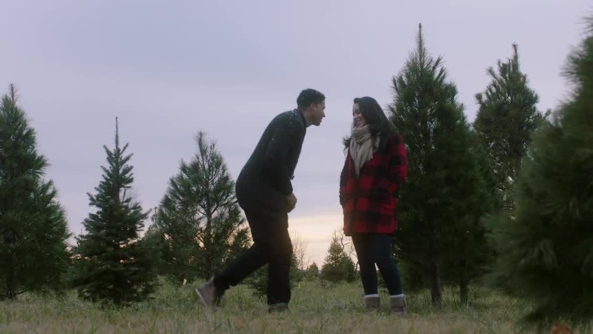 A man is asking a woman to marry him as they stand in a christmas tree farm