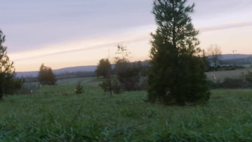 A couple holds hands while walking in a rural area