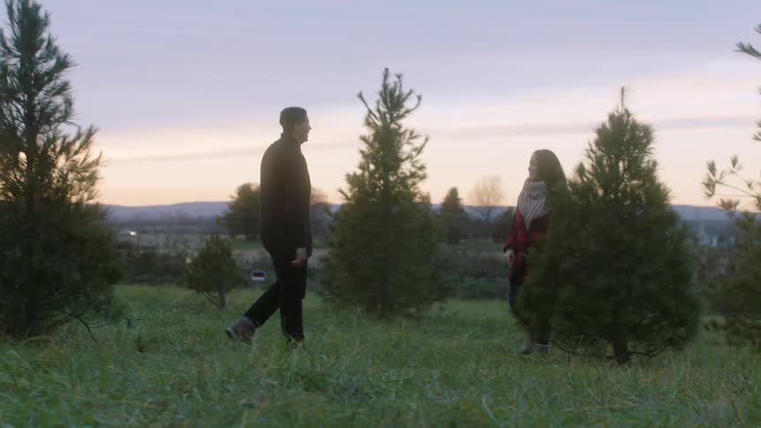 A man and woman are picking out a christmas tree