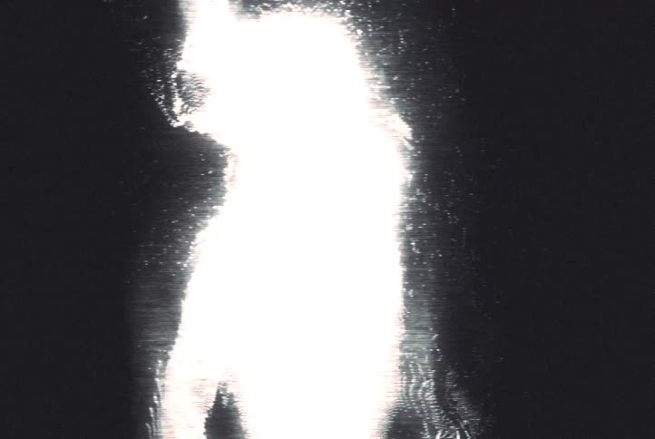 A distorted and abstract black and white video shows a figure moving with glitch and noise effects